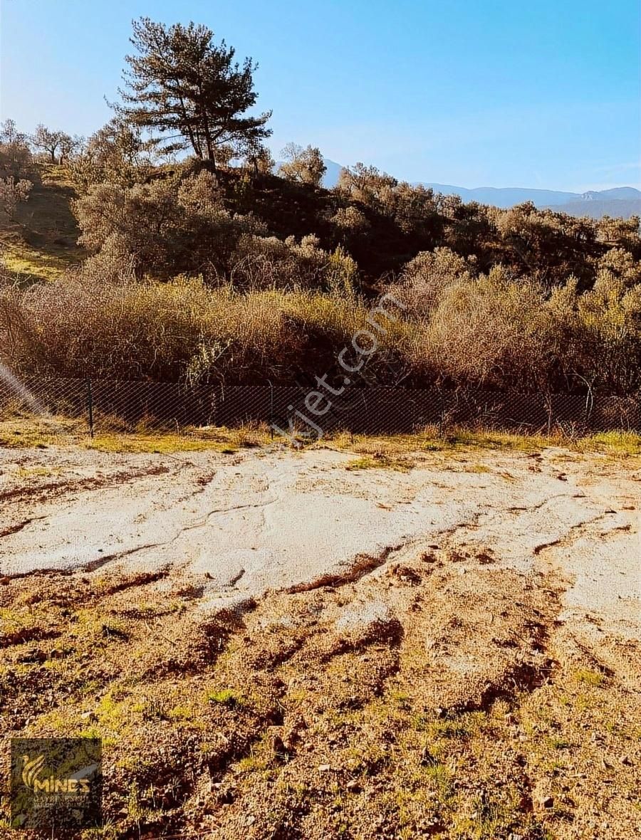 Kemalpaşa Cumalı'da 1.491 M² Satılık Araç Takaslı Bahçe - Görsel 4