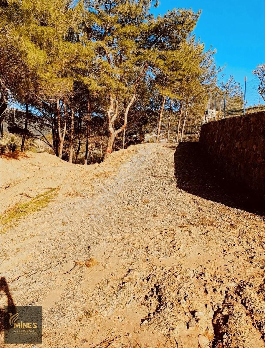 Kemalpaşa Cumalı'da 1.491 M² Satılık Araç Takaslı Bahçe - Görsel 2