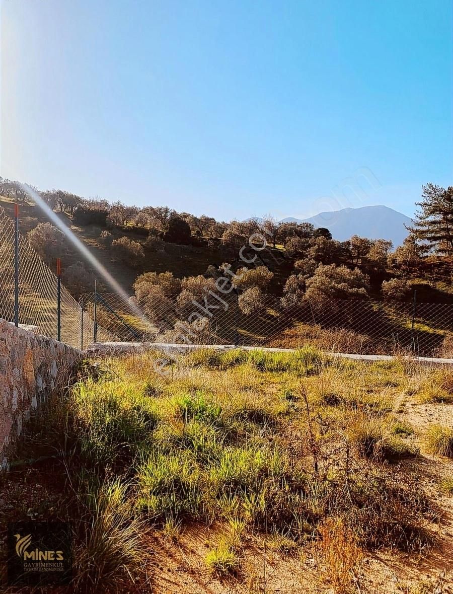 Kemalpaşa Cumalı'da 1.491 M² Satılık Araç Takaslı Bahçe - Görsel 17