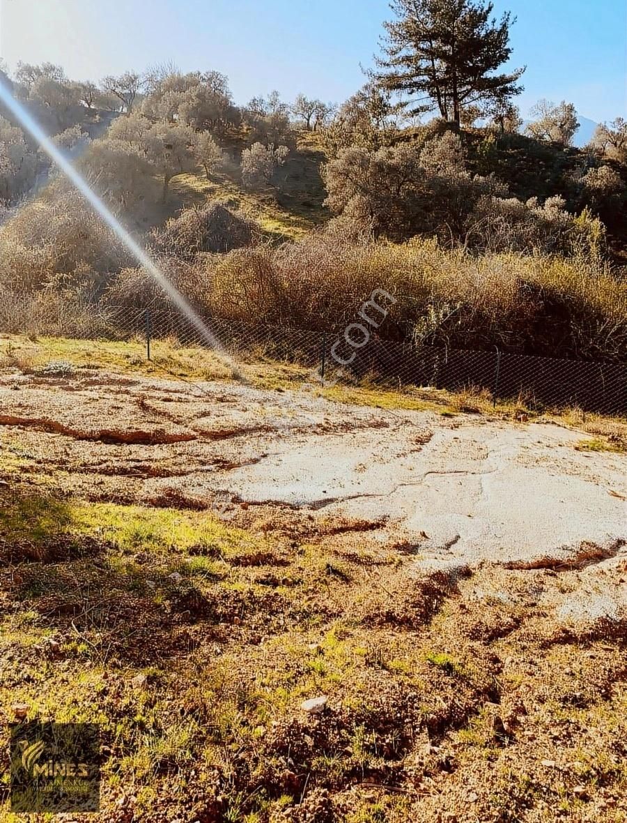 Kemalpaşa Cumalı'da 1.491 M² Satılık Araç Takaslı Bahçe - Görsel 19