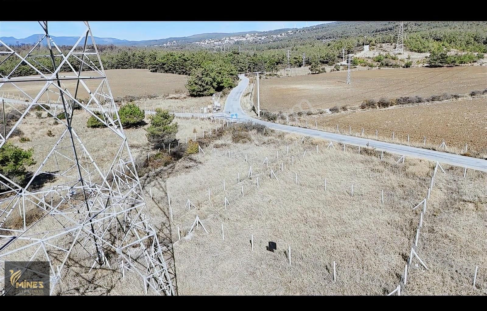 Bornova Yaka'da Ulucak Bağlantı Yolunda Yatırımlık Bahçe