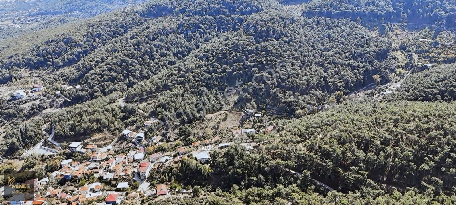 Kemalpaşa Kızılüzüm Satılık 5.840 M2 Arazi - Görsel 15