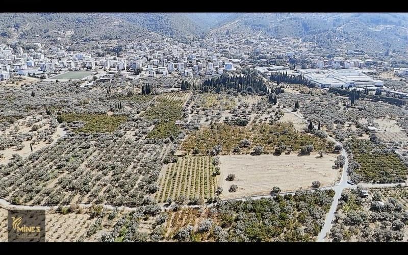 İzmir Kemalpaşa Ören Merkeze 500m Mesafe Yatırımlık Arazi - Görsel 23