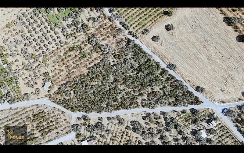 İzmir Kemalpaşa Ören Merkeze 500m Mesafe Yatırımlık Arazi - Görsel 4
