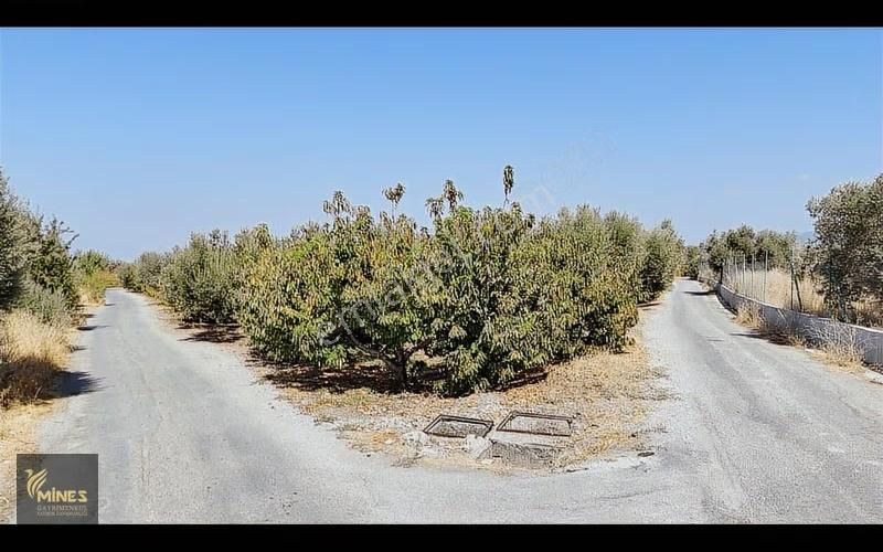 İzmir Kemalpaşa Ören Merkeze 500m Mesafe Yatırımlık Arazi - Görsel 16