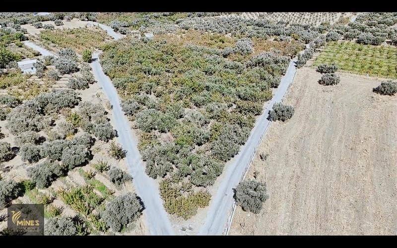 İzmir Kemalpaşa Ören Merkeze 500m Mesafe Yatırımlık Arazi - Görsel 9