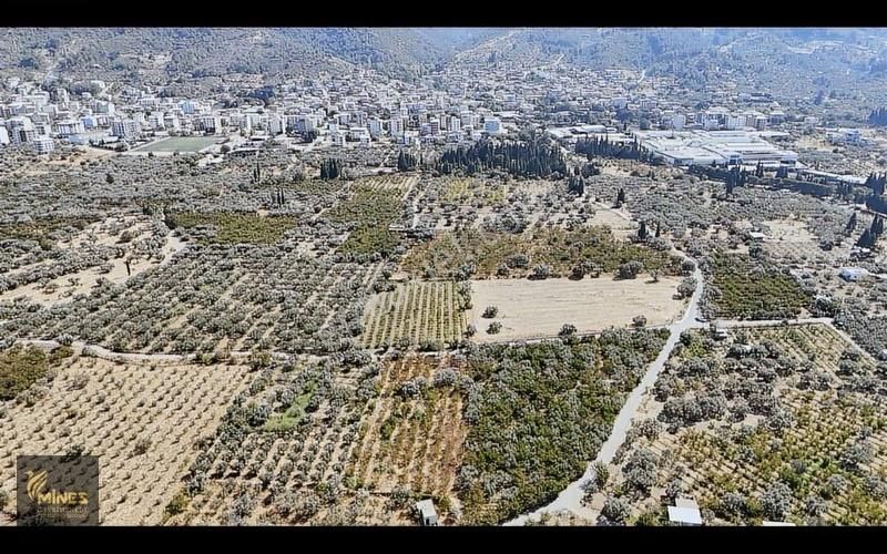 İzmir Kemalpaşa Ören Merkeze 500m Mesafe Yatırımlık Arazi - Görsel 14