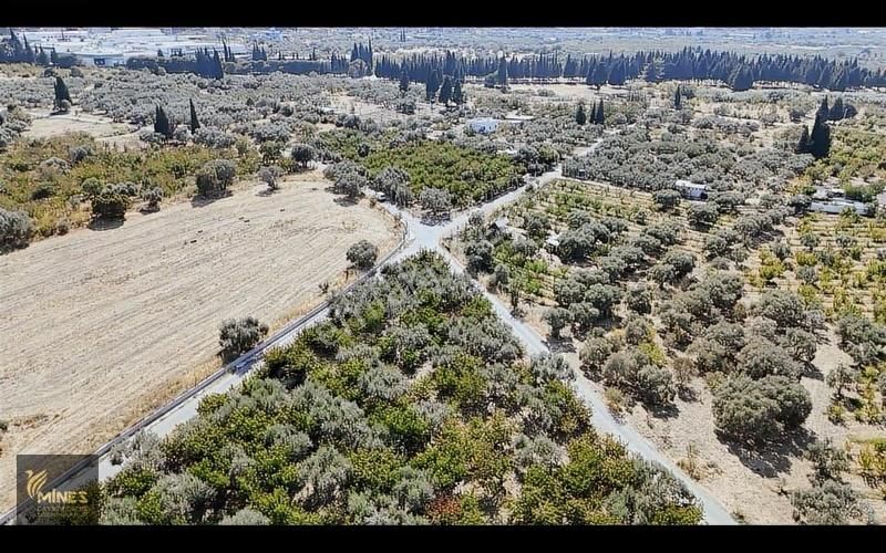 İzmir Kemalpaşa Ören Merkeze 500m Mesafe Yatırımlık Arazi