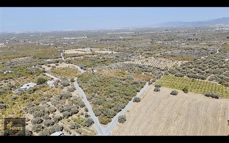 İzmir Kemalpaşa Ören Merkeze 500m Mesafe Yatırımlık Arazi - Görsel 10