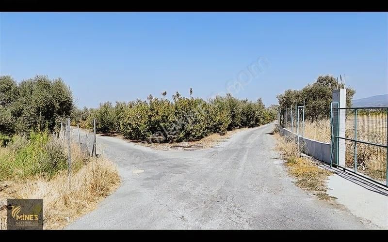 İzmir Kemalpaşa Ören Merkeze 500m Mesafe Yatırımlık Arazi - Görsel 3
