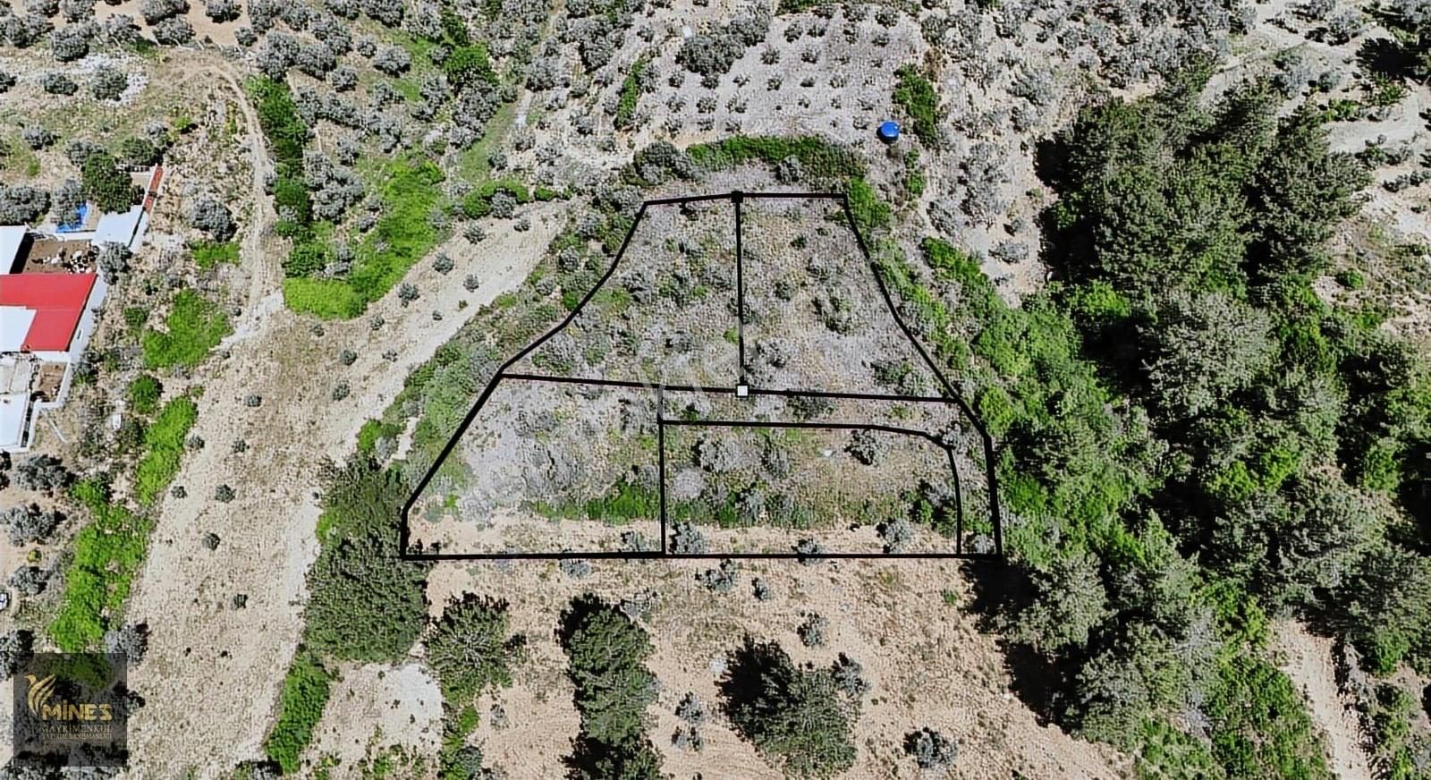 Aşağı Kızılcada 684 M² Satılık Bahçe - Görsel 4