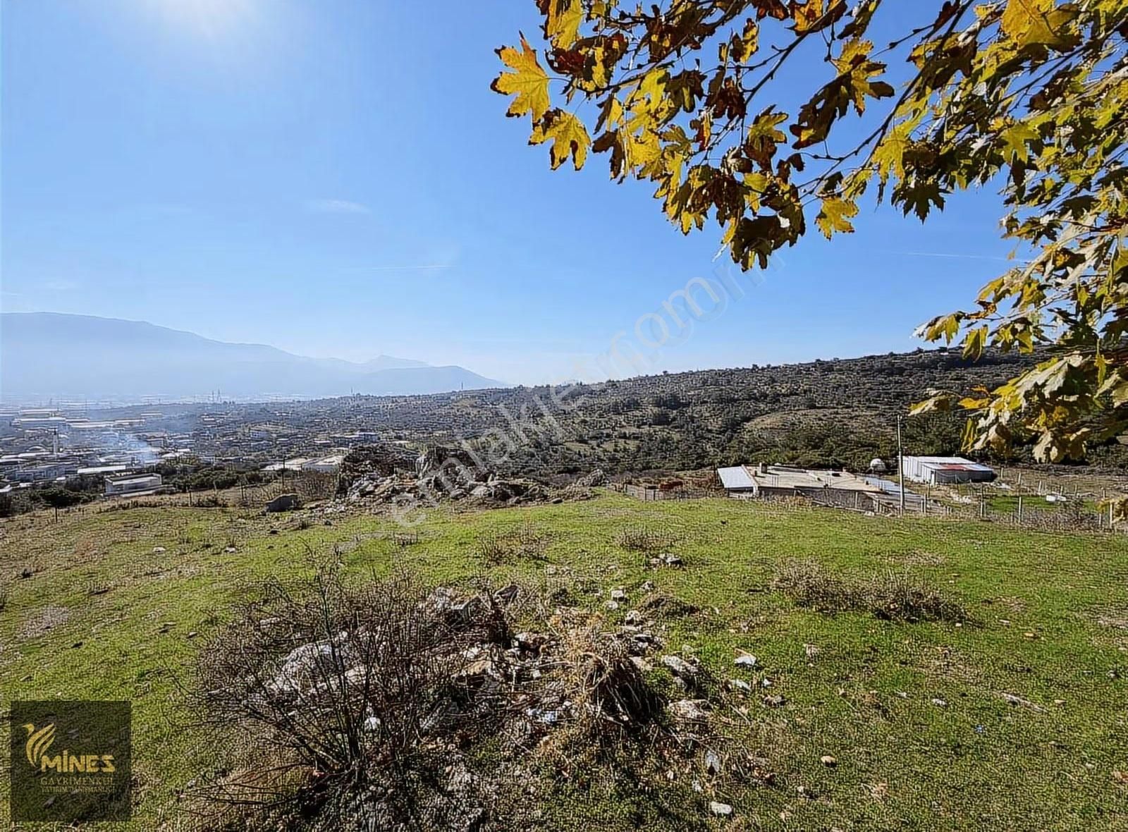 Acil Kuyucak Muhteşem Manzarlı Tapulu Tarla - Görsel 26