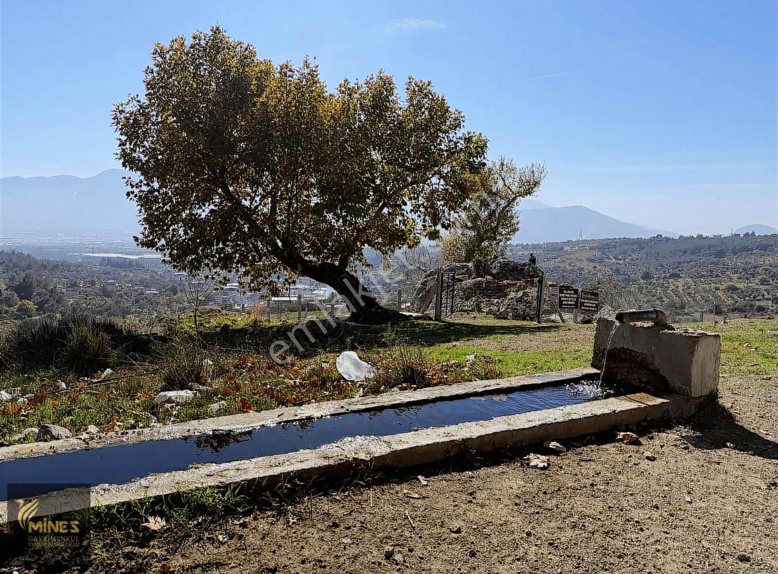 Acil Kuyucak Muhteşem Manzarlı Tapulu Tarla - Görsel 15