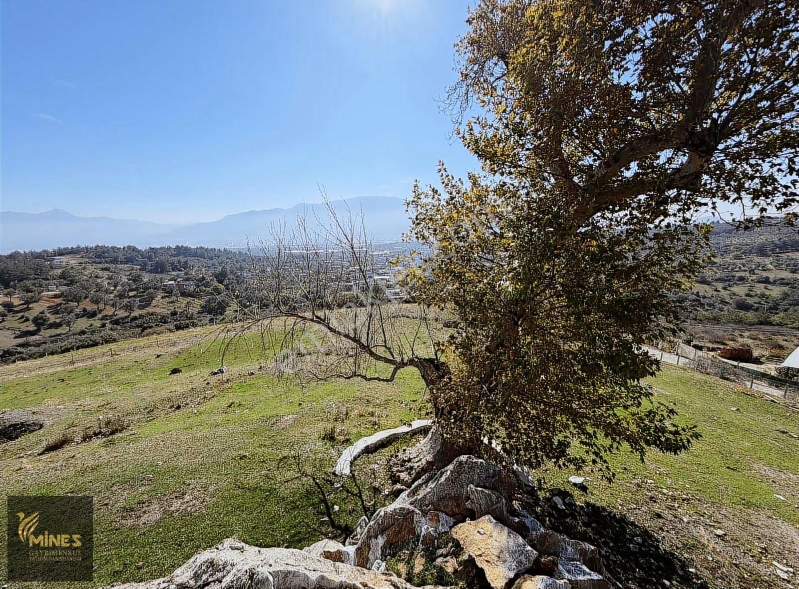 Acil Kuyucak Muhteşem Manzarlı Tapulu Tarla - Görsel 6