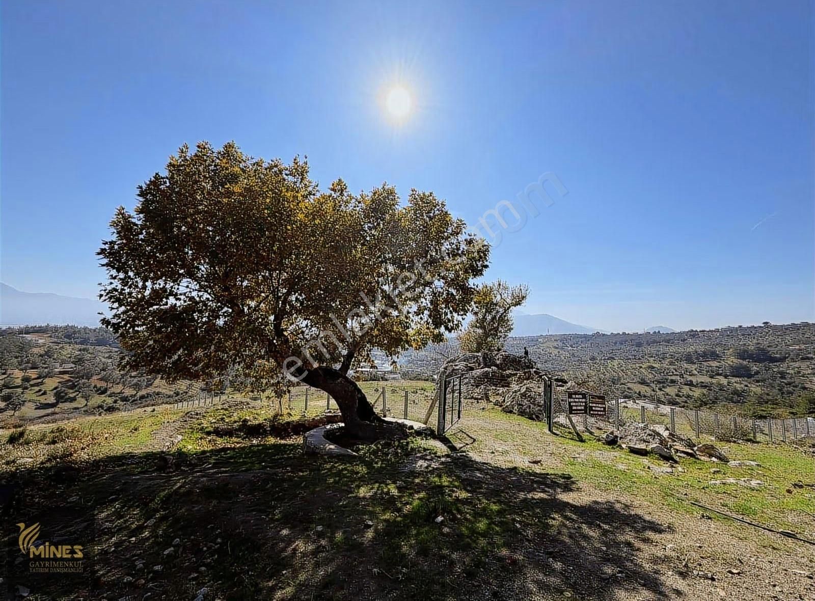 Acil Kuyucak Muhteşem Manzarlı Tapulu Tarla