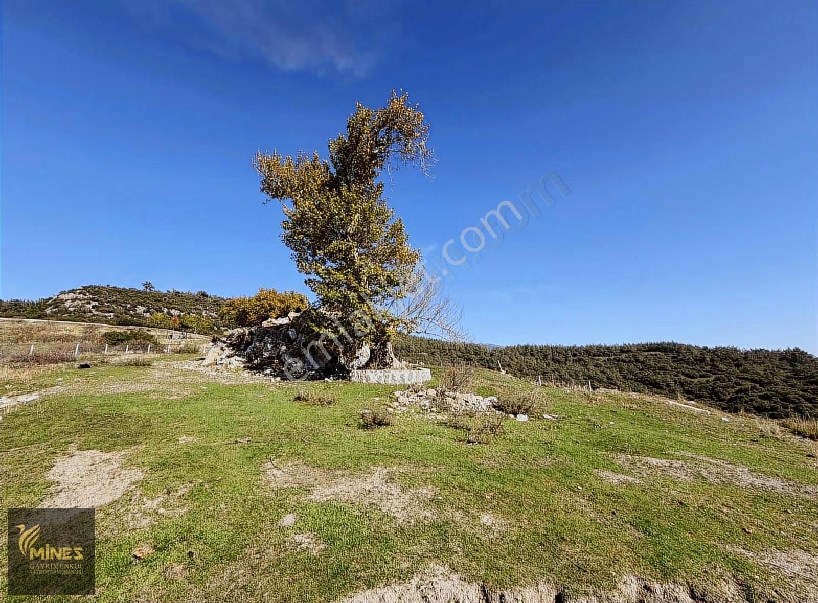 Acil Kuyucak Muhteşem Manzarlı Tapulu Tarla - Görsel 22
