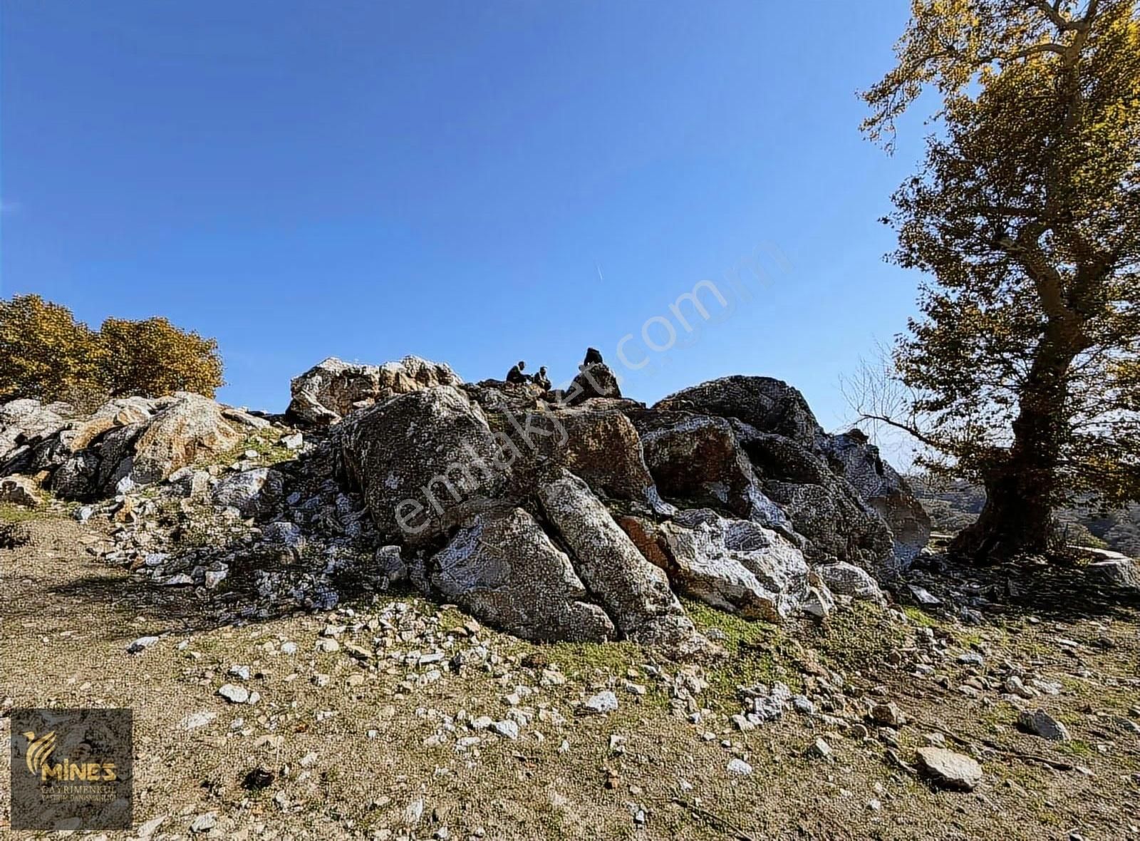 Acil Kuyucak Muhteşem Manzarlı Tapulu Tarla - Görsel 12