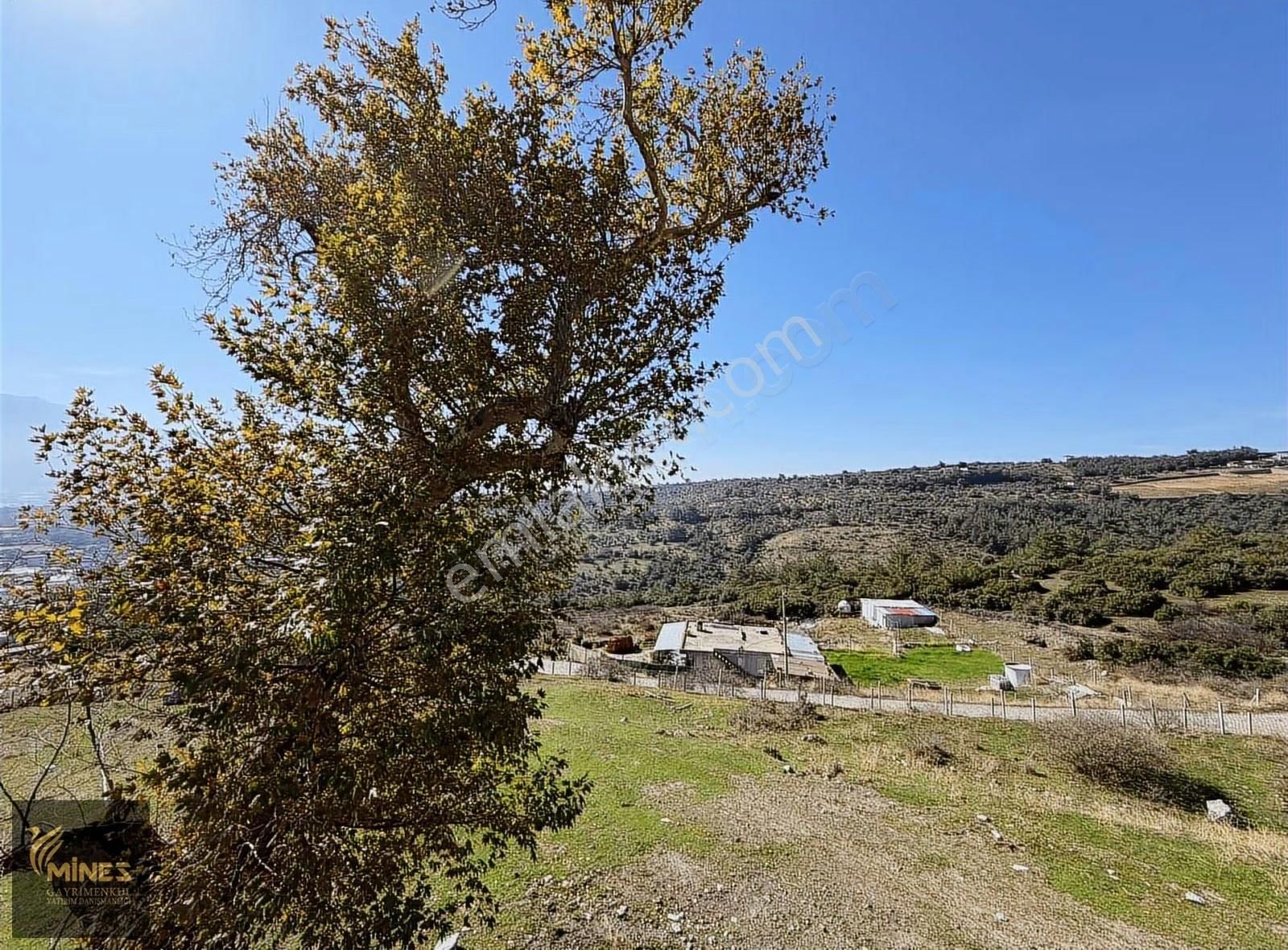 Acil Kuyucak Muhteşem Manzarlı Tapulu Tarla - Görsel 25