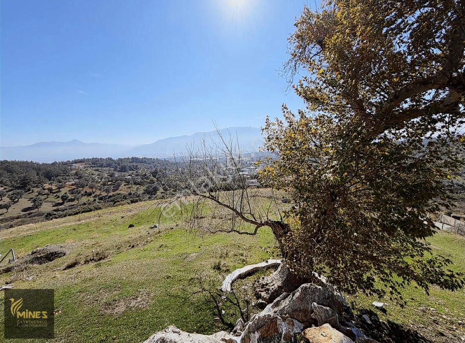 Acil Kuyucak Muhteşem Manzarlı Tapulu Tarla - Görsel 20