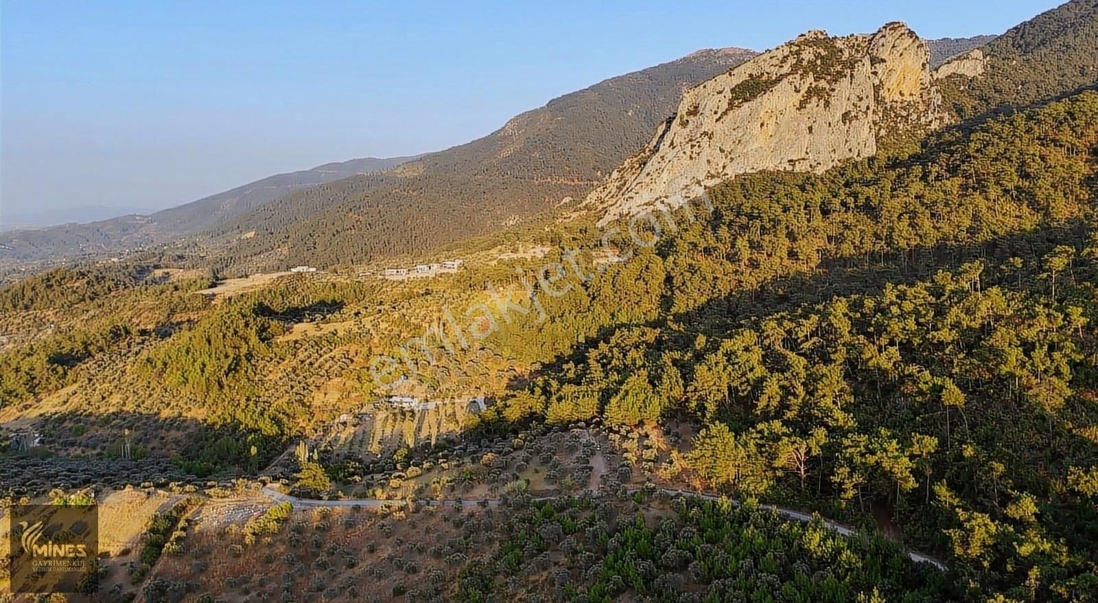 Yukarı Kızılca'da Havadar Yola Cephe Manzaralı Arazi - Görsel 26
