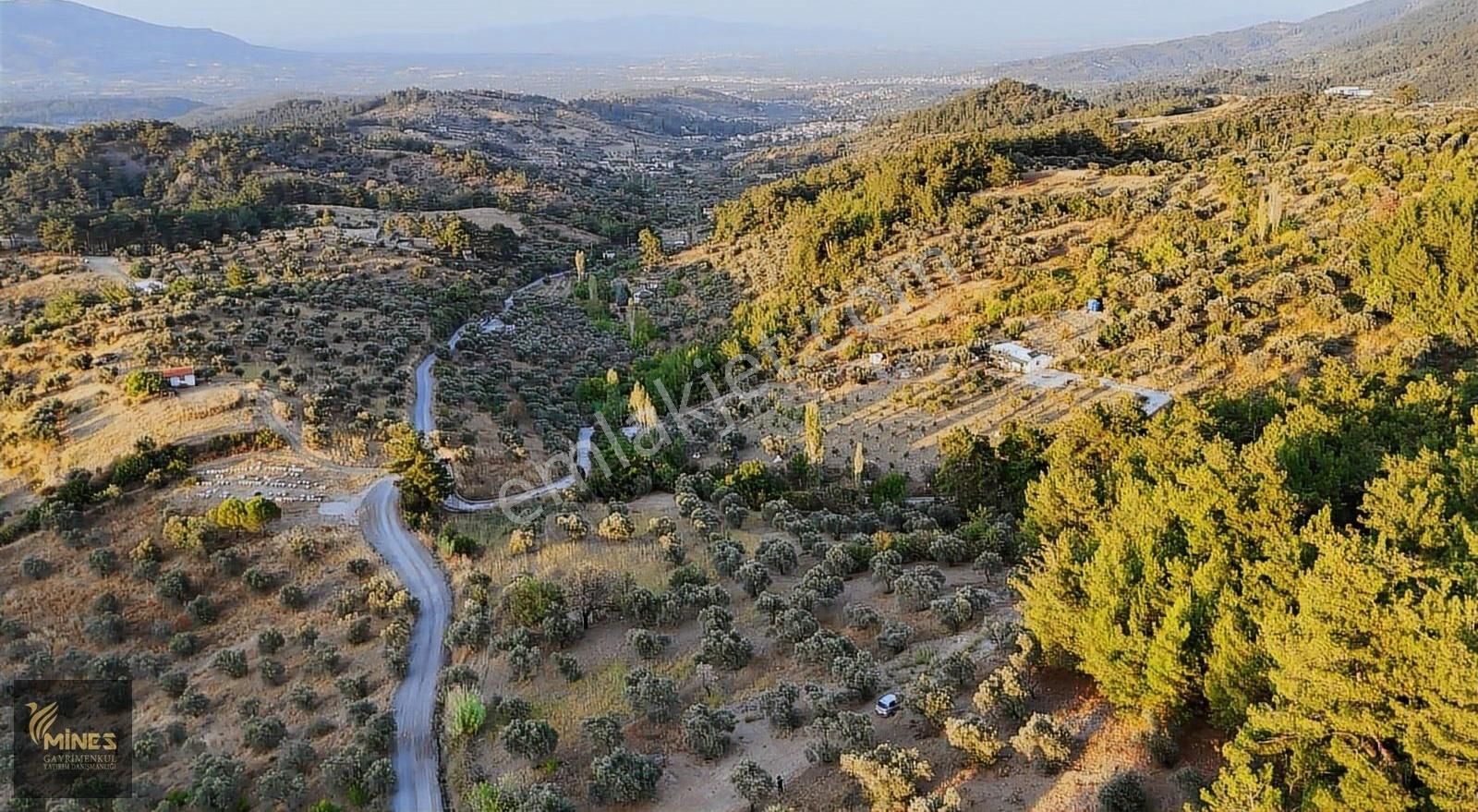 Yukarı Kızılca'da Havadar Yola Cephe Manzaralı Arazi - Görsel 6