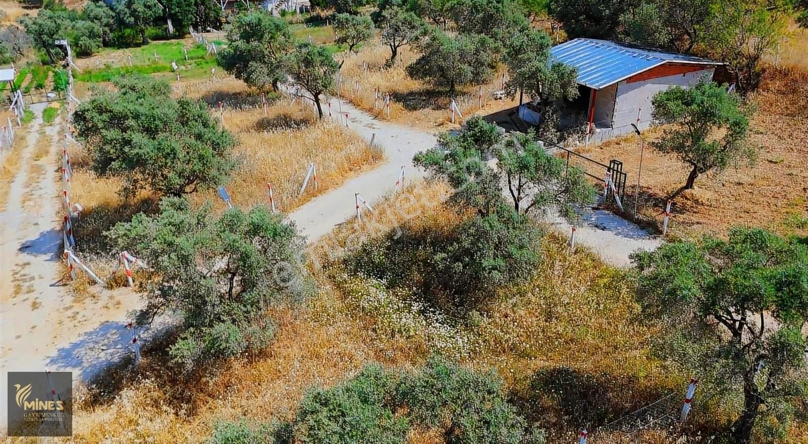 Kemalpaşa Gökyaka'da 301 M2 Kaçırılmayacak Satılık Arsa - Görsel 5