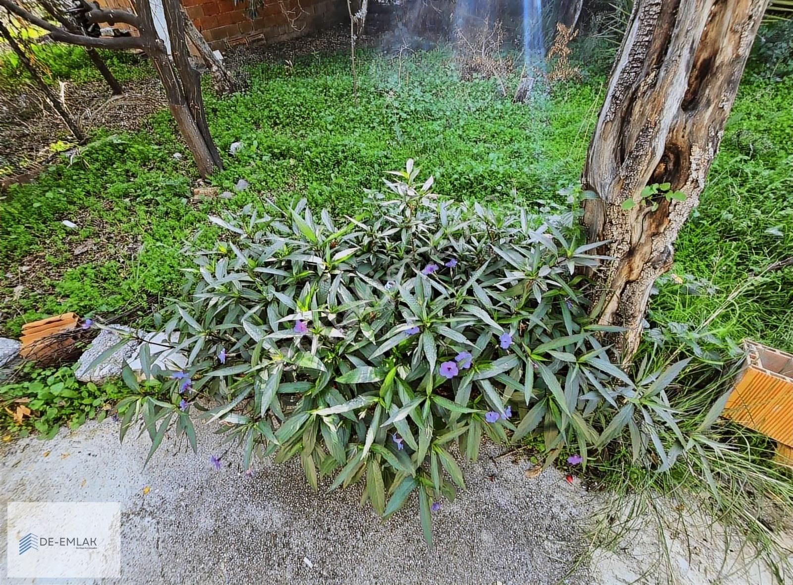 Ortaca Merkez'de Fırsat Satılık Müstakil Ev - Görsel 13