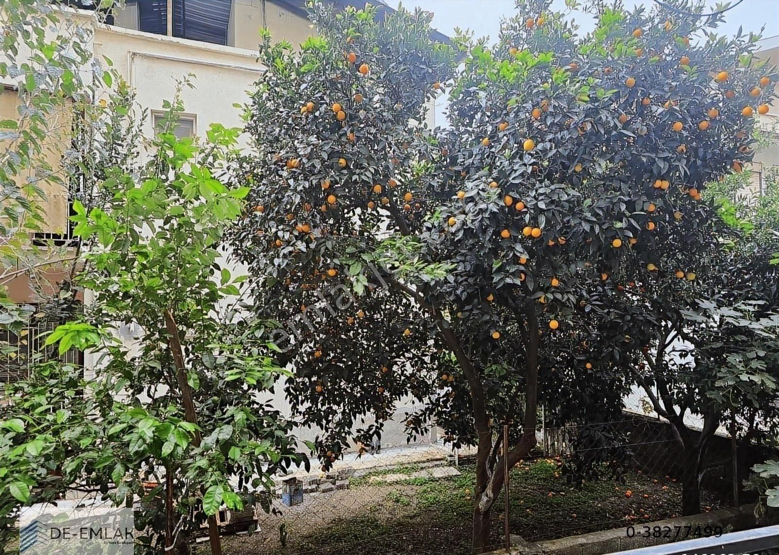 Ortaca Merkez De Geniş Kapalı Mutfakt 2+1 Satılık Daire - Görsel 22