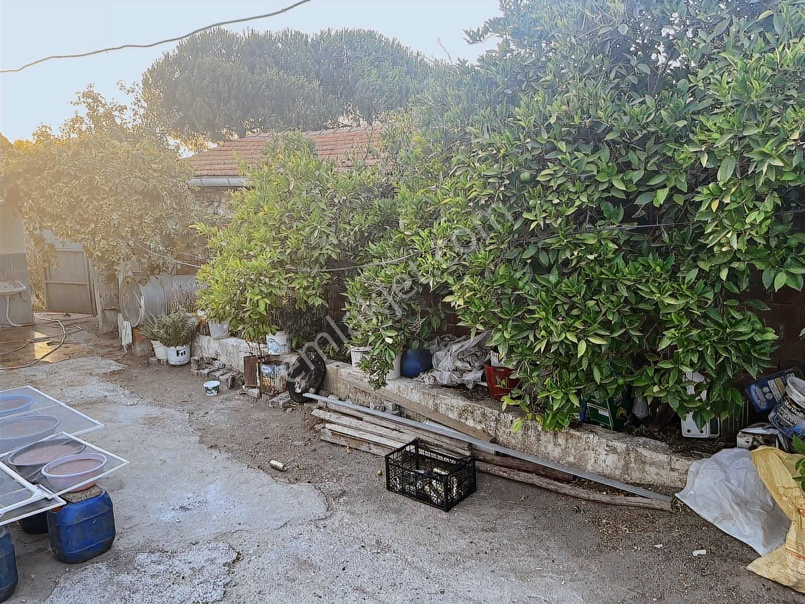Torbalı Çamlıca Mah 495 M2 Müstakil Avlulu Kargir Ev Ve Arsası - Görsel 18