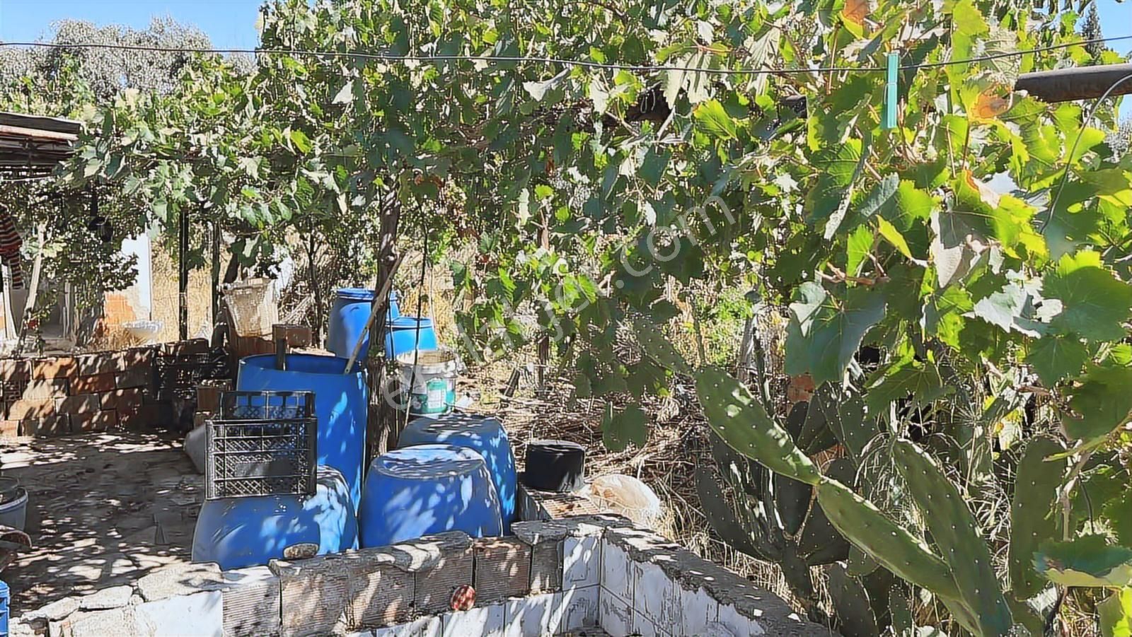 Torbalı Karakuyu Mah 1320 M2 Köy İçi Tarla Ve Zeytinlik - Görsel 30