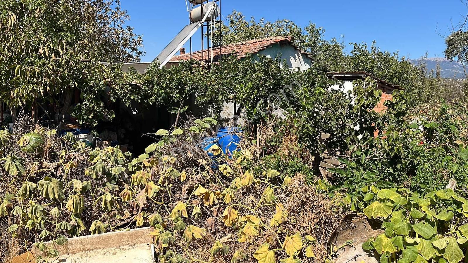 Torbalı Karakuyu Mah 1320 M2 Köy İçi Tarla Ve Zeytinlik