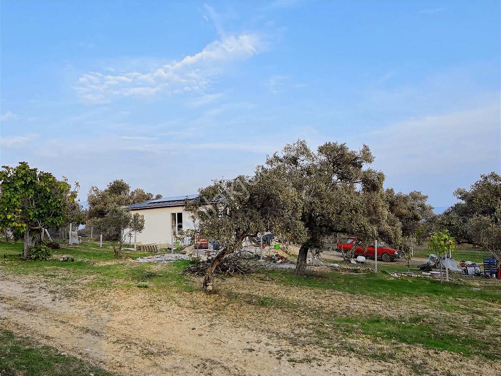 Torbalı Çapak Mah. 3320m2 Tarla Ve Zeytinlik - Görsel 21