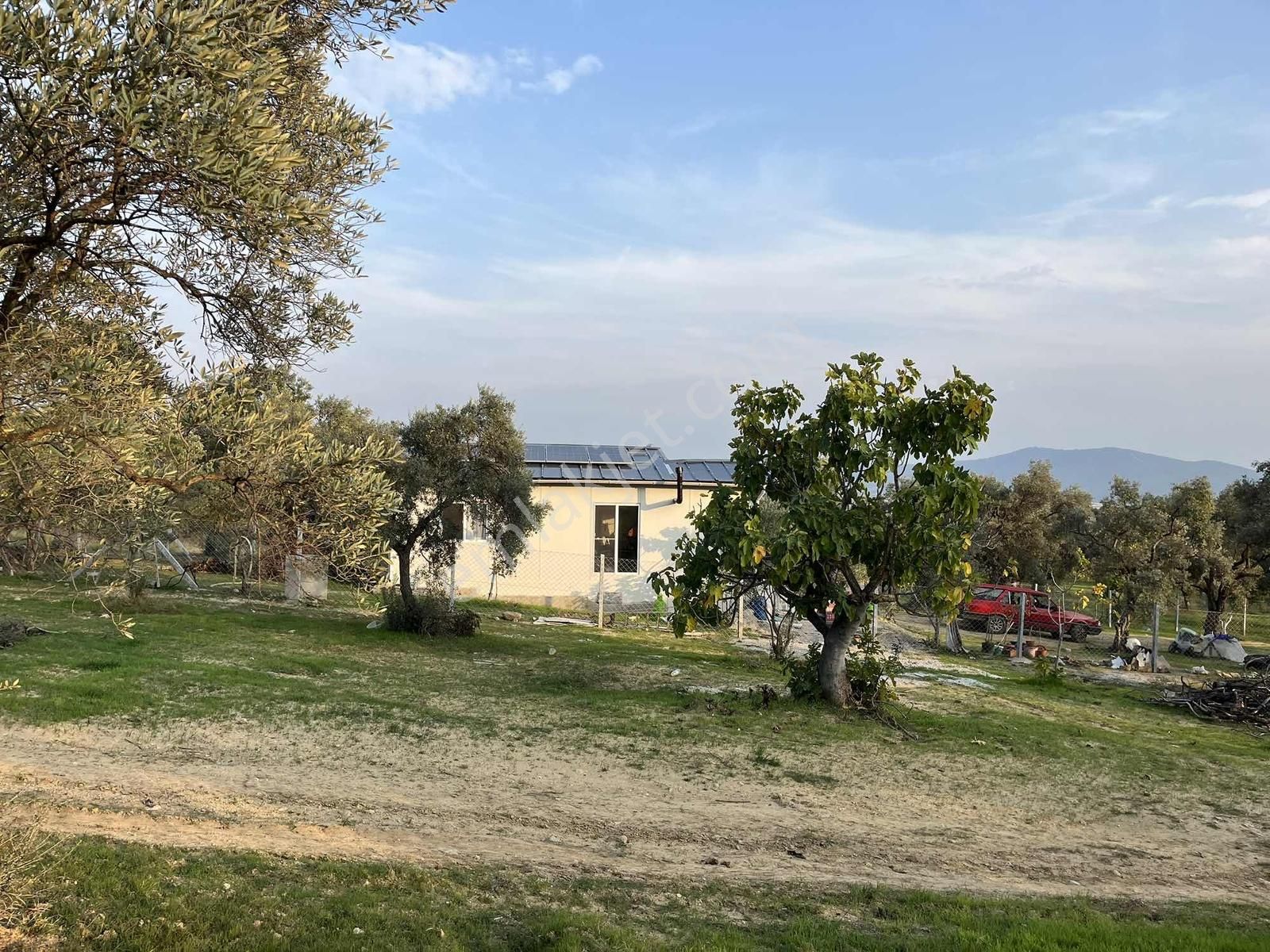 Torbalı Çapak Mah. 3320m2 Tarla Ve Zeytinlik - Görsel 9