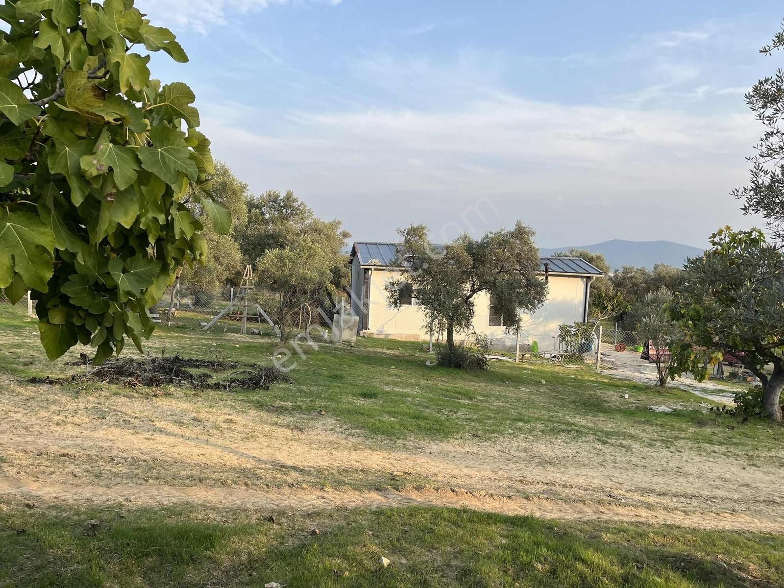 Torbalı Çapak Mah. 3320m2 Tarla Ve Zeytinlik - Görsel 20