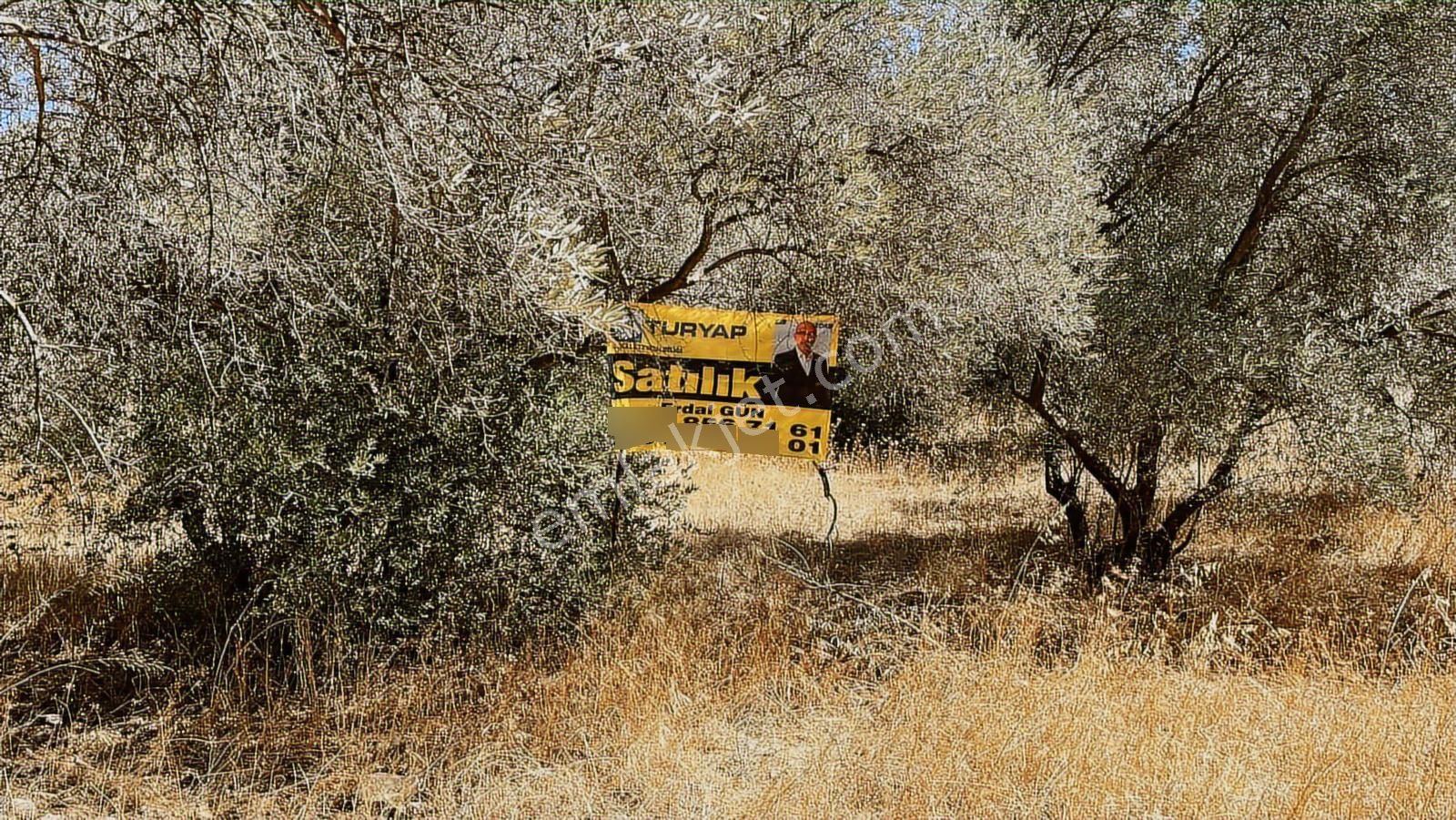 Torbalı Dirmil Mah.4309 M2 Müstakil Parsel Satılık Zeytinlik - Görsel 13