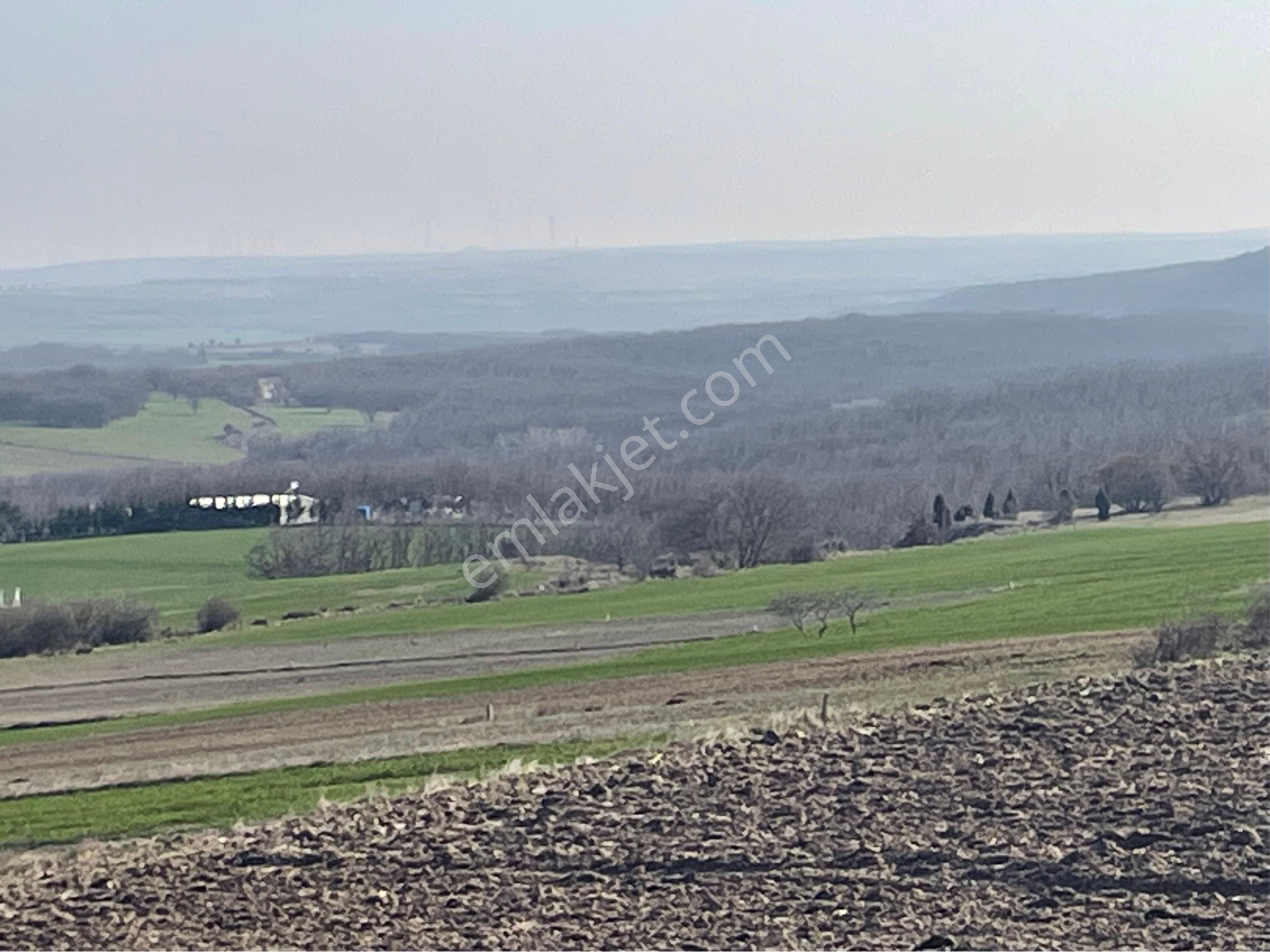 Silivri Büyükçavüşlü İmara Sınır 2750 M2 - Görsel 4