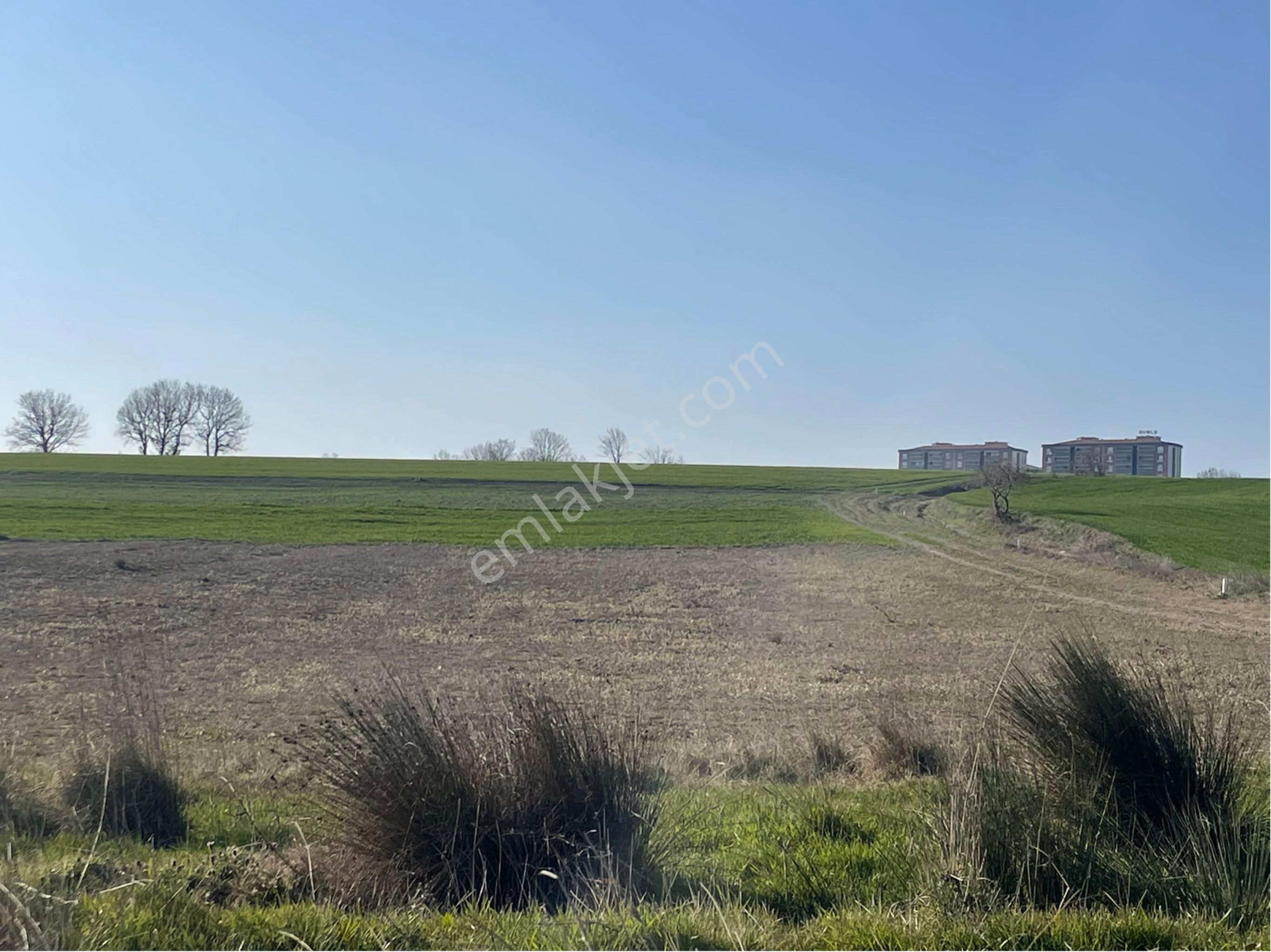 Silivri Büyükçavüşlü İmara Sınır 2750 M2 - Görsel 8