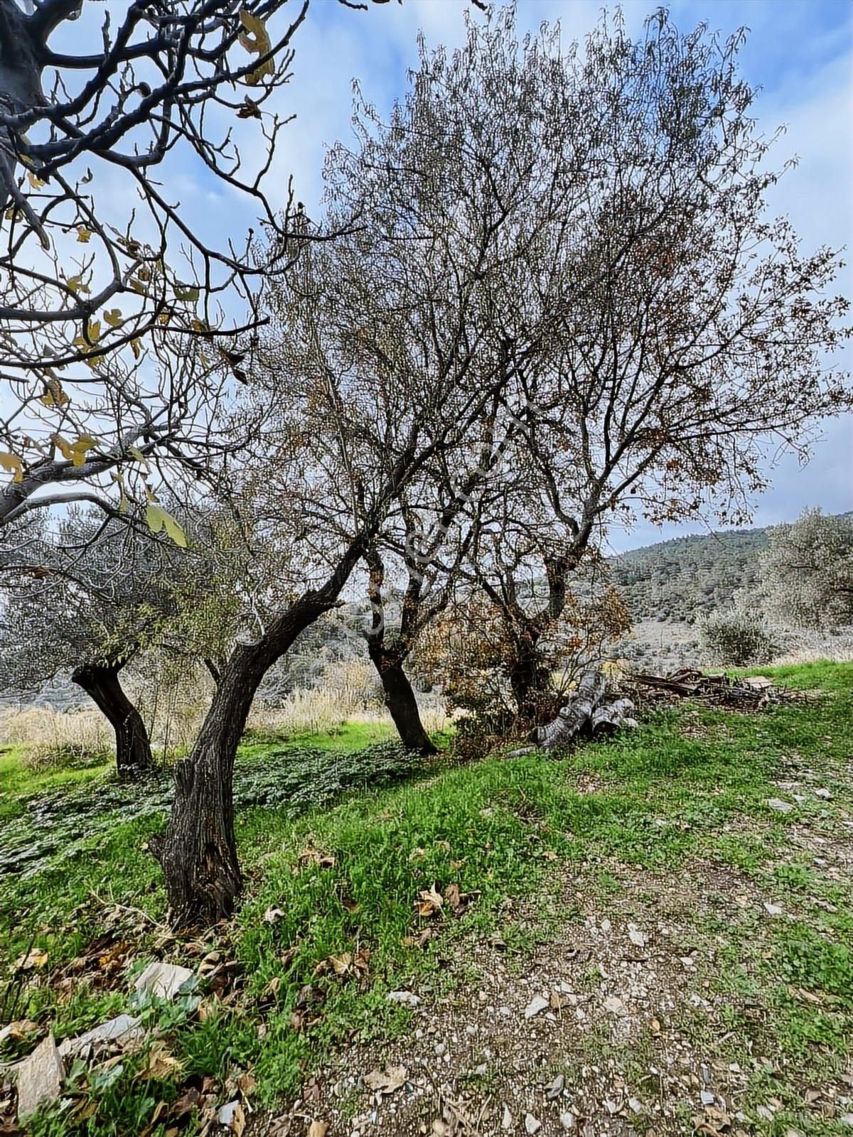 Torbalı Dağtekke Köyü Emsalsiz Parsel Tek Tapu İmarlı Köy Evi - Görsel 15