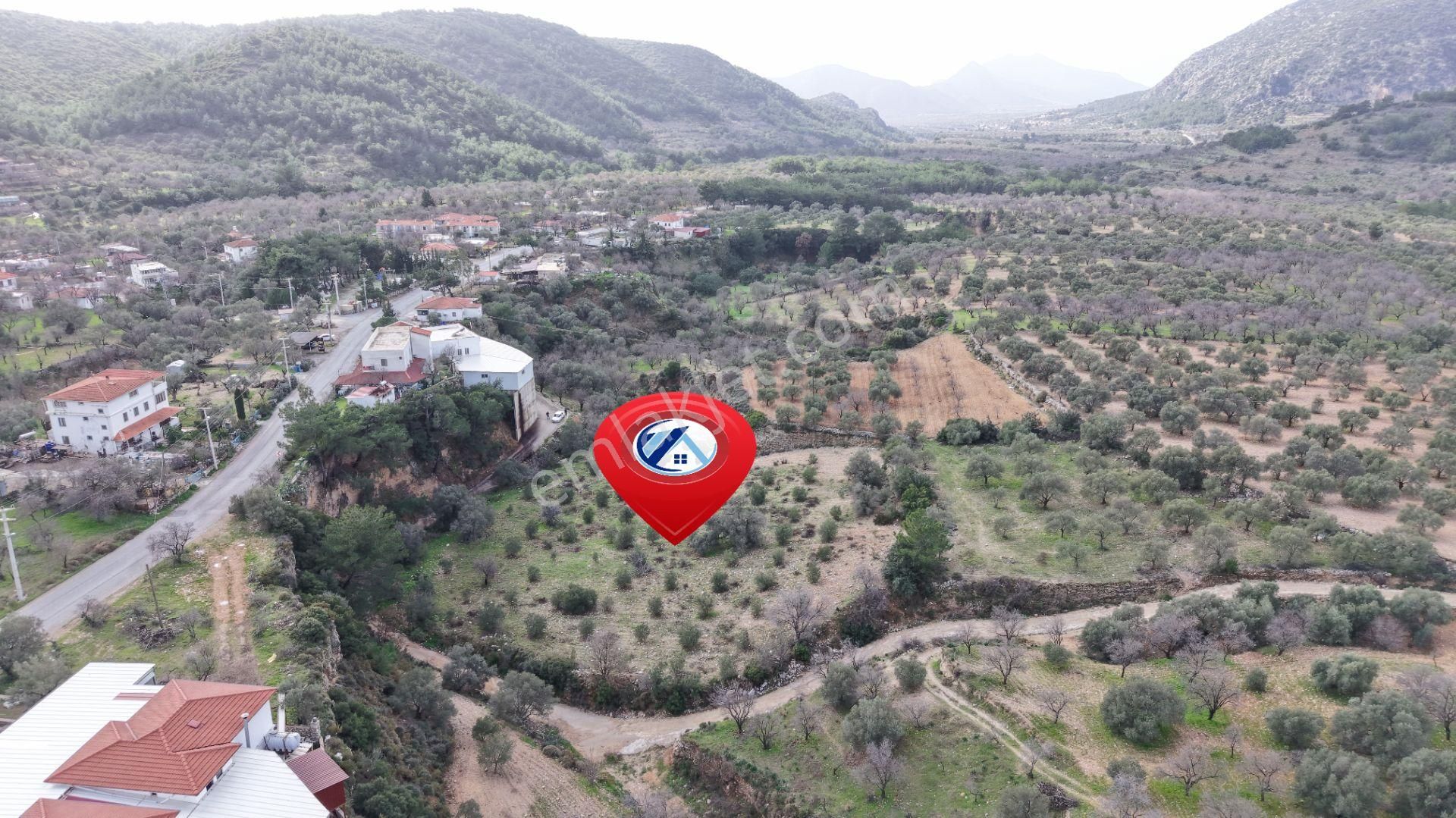 Datça Sındı Mahallesi Zeytincikte Satılık 5.738m² Tarla - Görsel 5