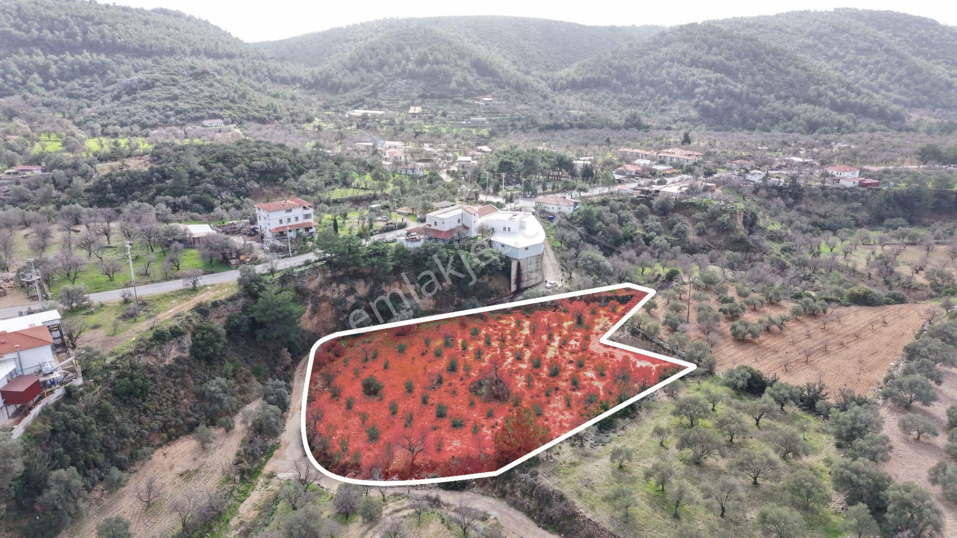 Datça Sındı Mahallesi Zeytincikte Satılık 5.738m² Tarla - Görsel 9
