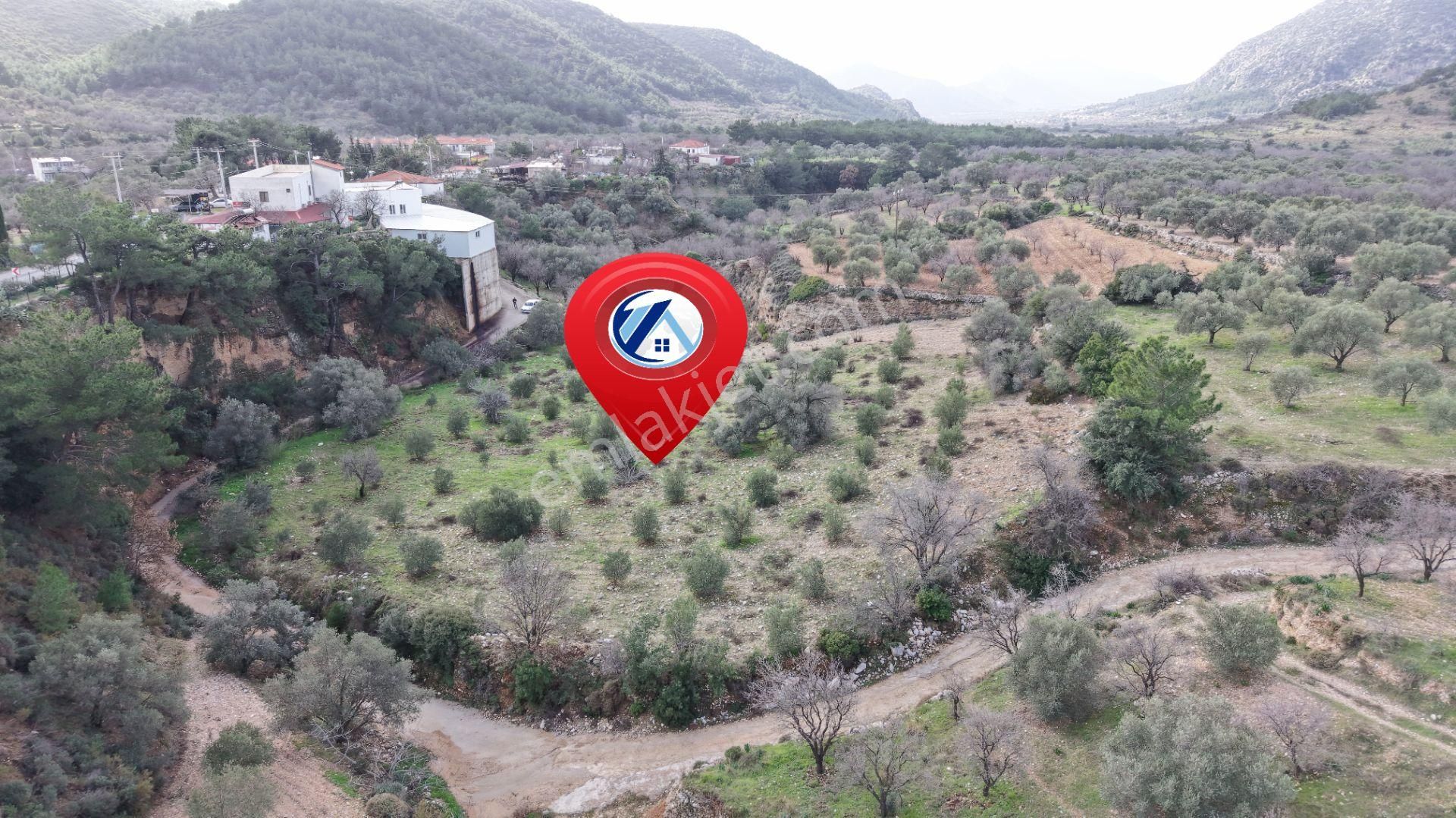 Datça Sındı Mahallesi Zeytincikte Satılık 5.738m² Tarla - Görsel 3