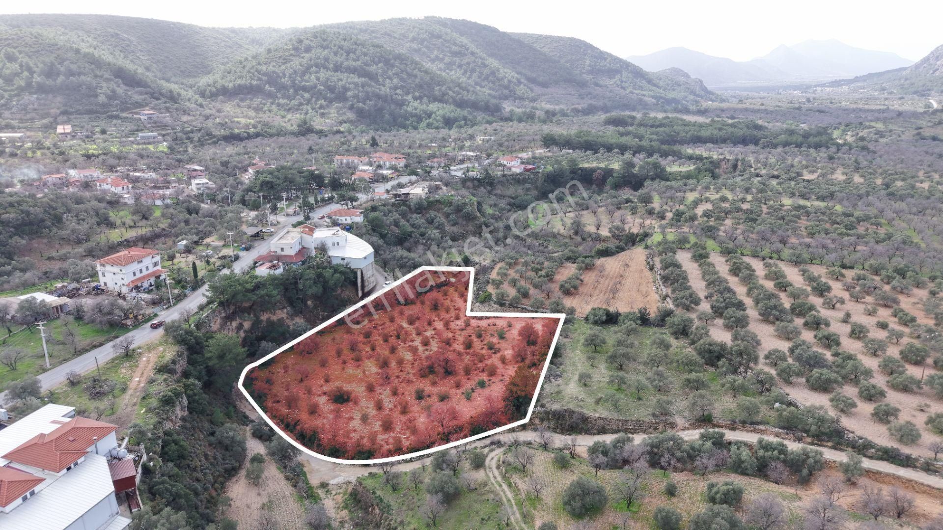 Datça Sındı Mahallesi Zeytincikte Satılık 5.738m² Tarla - Görsel 16