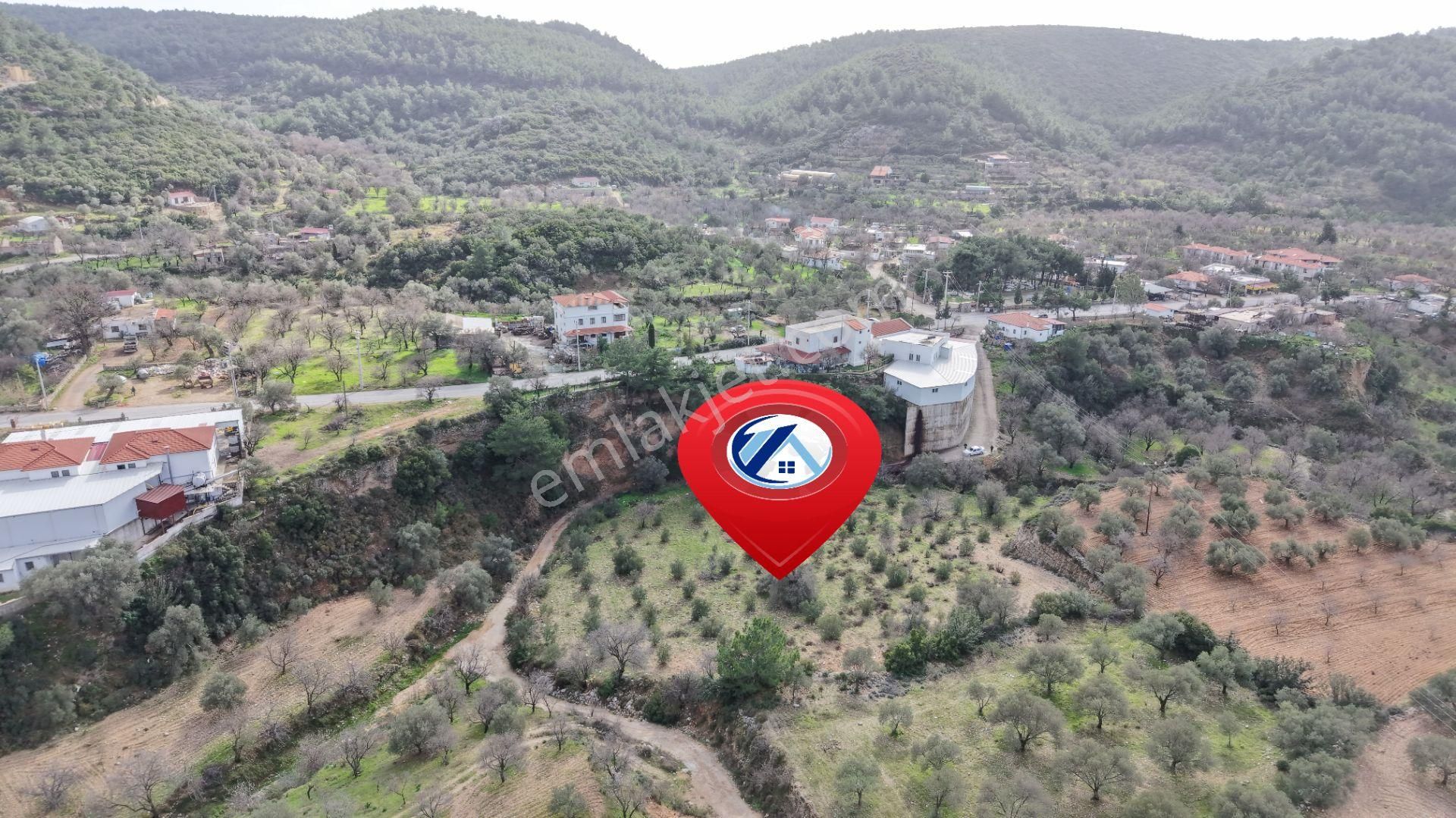 Datça Sındı Mahallesi Zeytincikte Satılık 5.738m² Tarla - Görsel 10