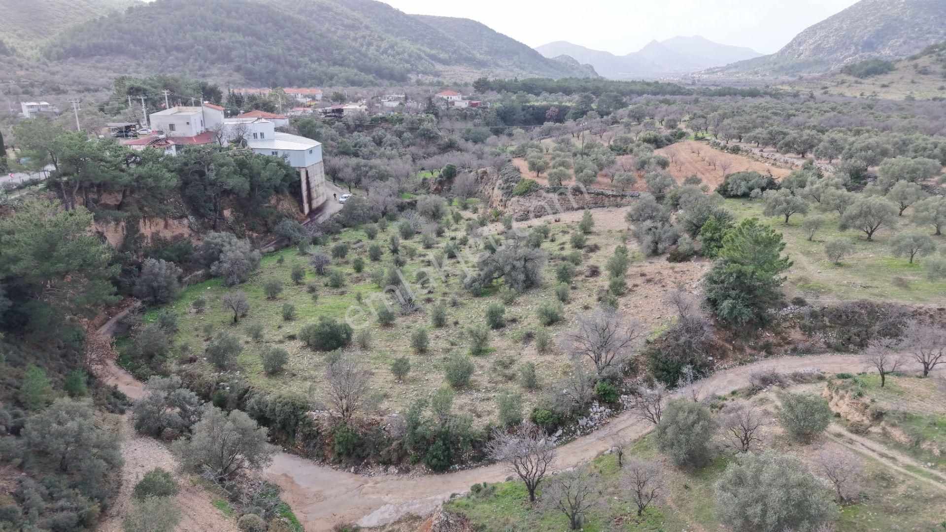 Datça Sındı Mahallesi Zeytincikte Satılık 5.738m² Tarla - Görsel 4