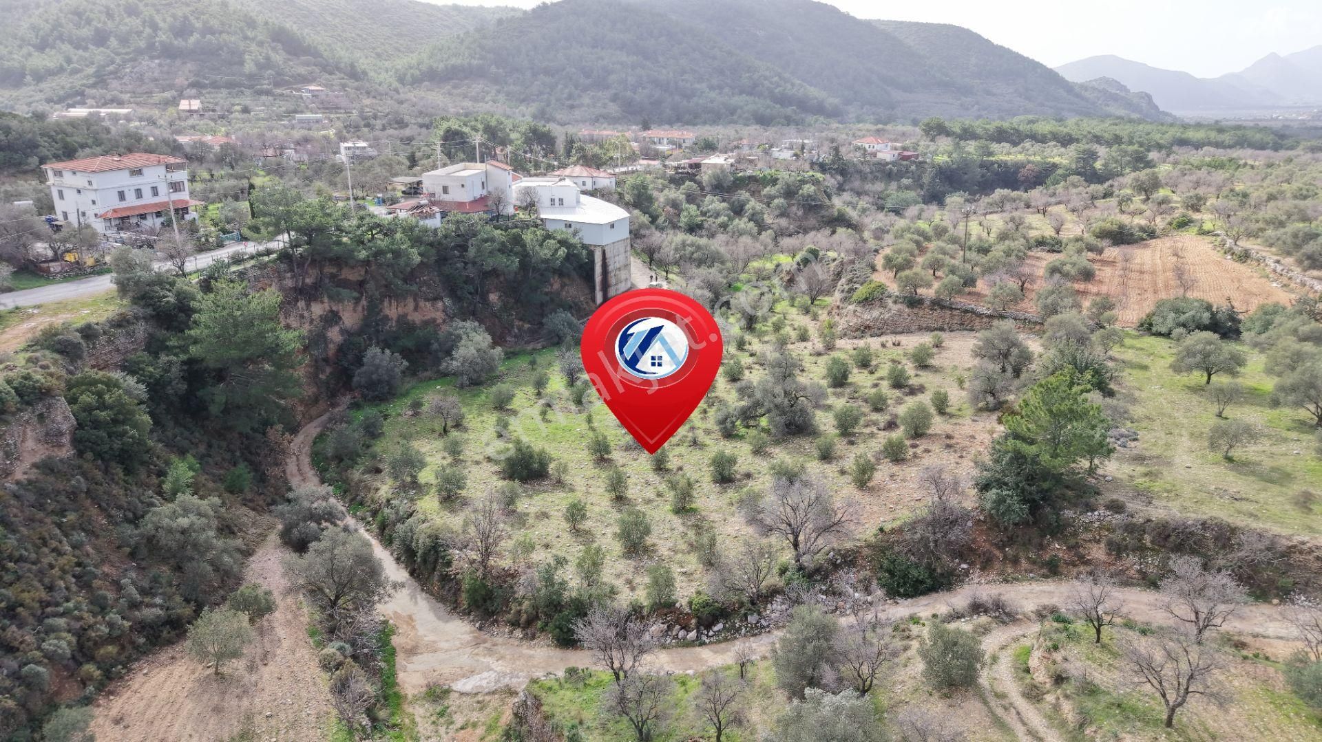 Datça Sındı Mahallesi Zeytincikte Satılık 5.738m² Tarla - Görsel 15