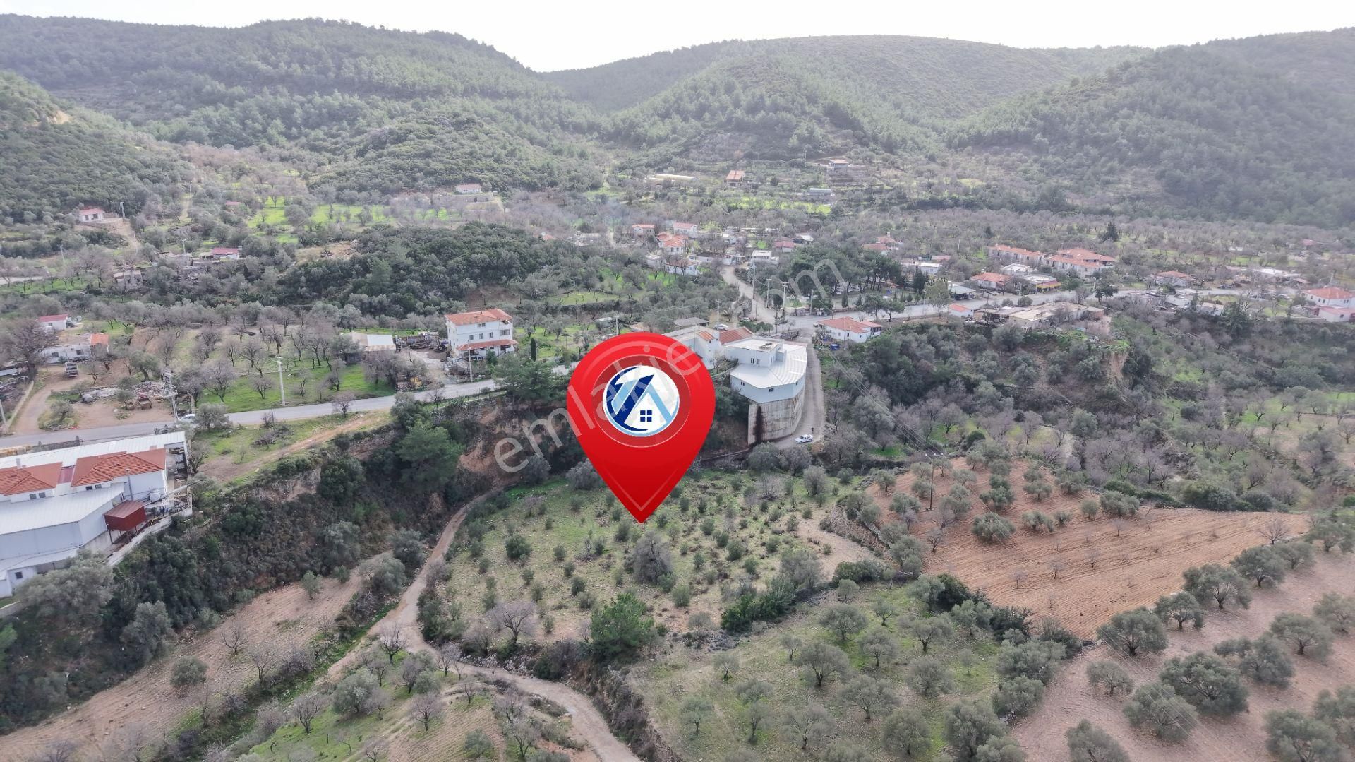 Datça Sındı Mahallesi Zeytincikte Satılık 5.738m² Tarla - Görsel 19