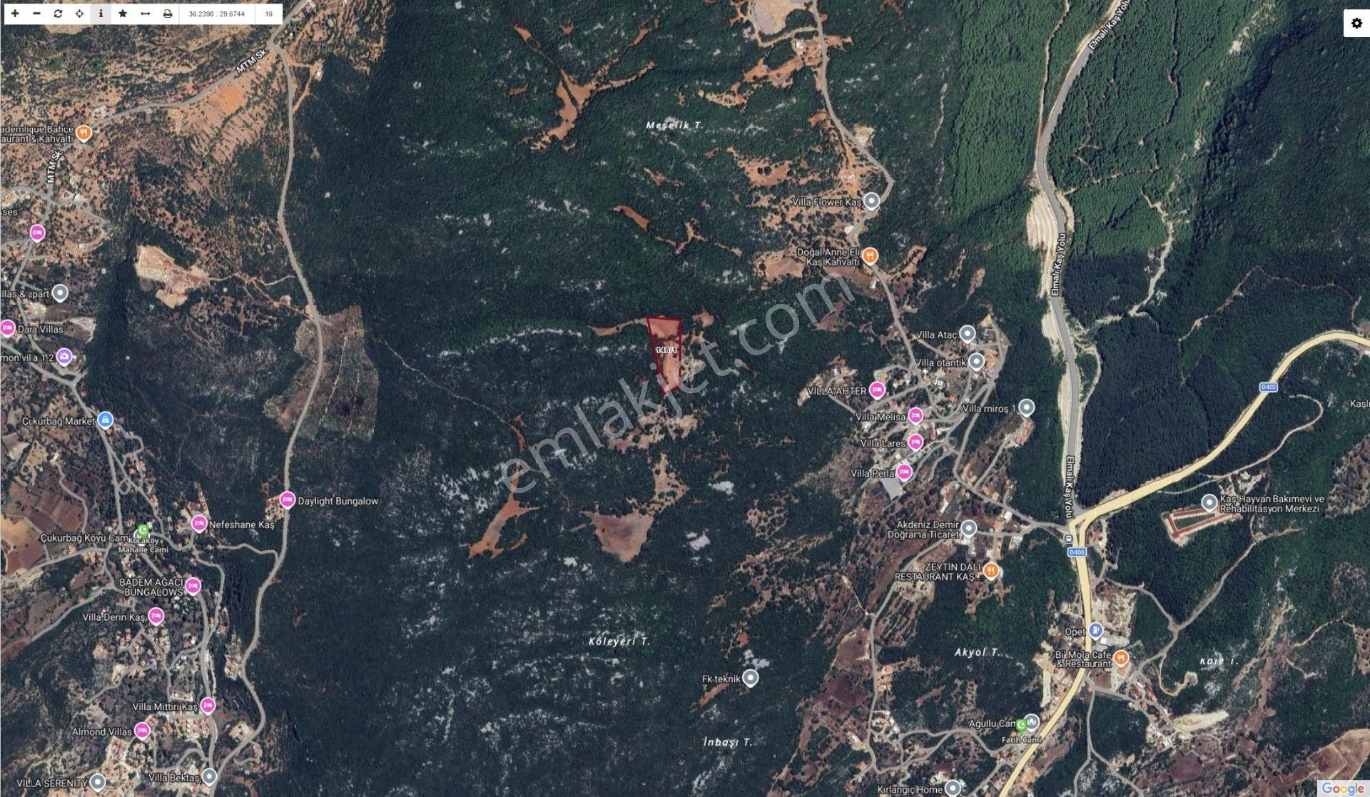 Kaş'ta Yatırım Fırsatı Çok Uygun Fiyat 13834 M2 - Görsel 3