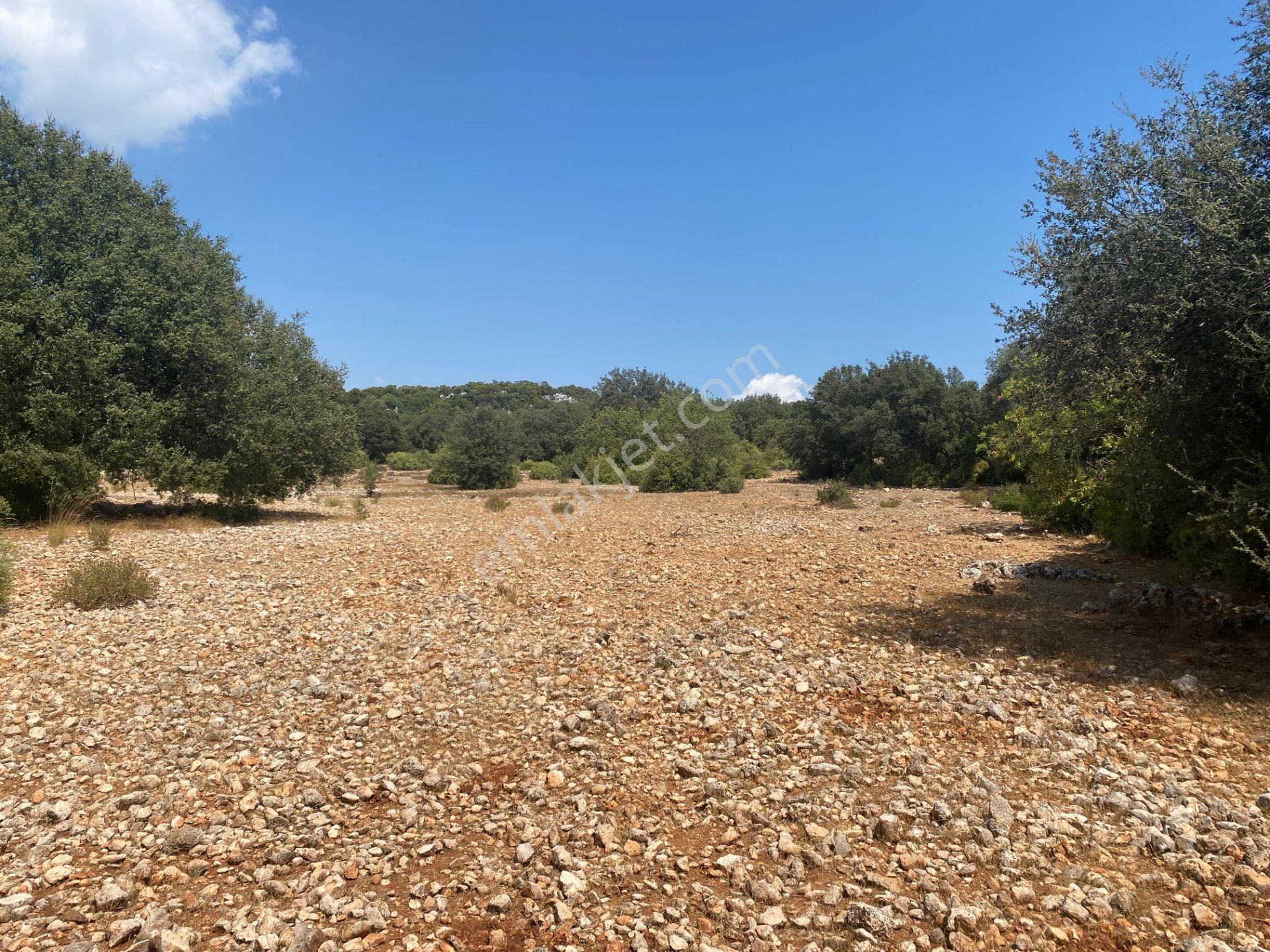 Kaş'ta Yatırım Fırsatı Çok Uygun Fiyat 13834 M2 - Görsel 5