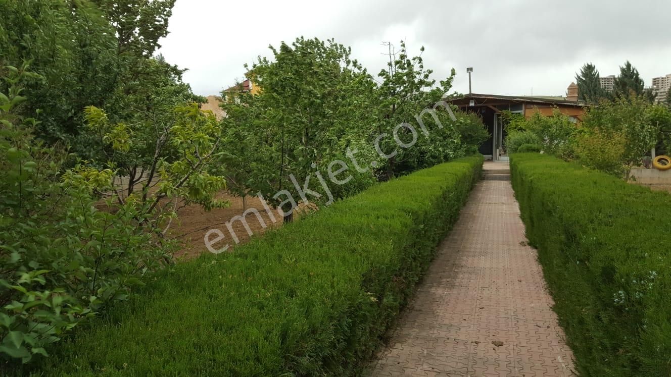 Meram- Kozağaç’ta 1000 M2 Arsa İçinde Yetişmiş Meyve Ağaçlı, 2+1 Müstakil Ev - Görsel 17