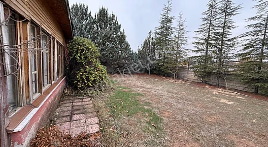 Meram- Kozağaç’ta 1000 M2 Arsa İçinde Yetişmiş Meyve Ağaçlı, 2+1 Müstakil Ev - Görsel 8